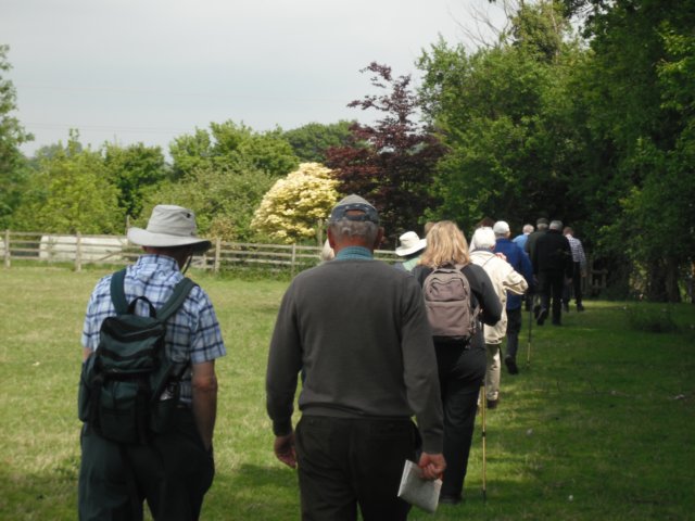 walkers2.jpg